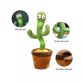 น้องบอง 120 เพลง  Dancing Cactus 120 กระบองเพชรเต้นได้ อัดเสียงพูดตามได้ ชาร์จUSB