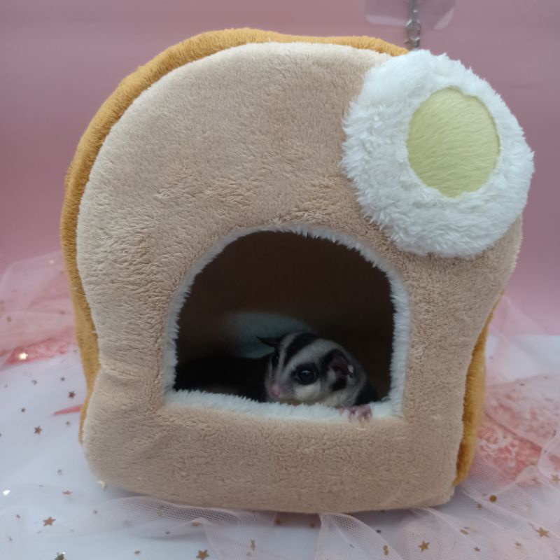 บ้านขนมปัง-ที่นอน-บ้านไข่ดาว-นุ่มนิ่ม-น่ารัก-ที่นอน-เปล-สำหรับ-ชูการ์ไกรเดอร์-นก-กระรอก-บุชเบบี้-ชูก้า