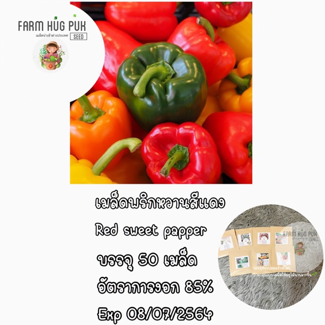 เมล็ดพริกหวานสีแดง-พริกหวานแดง-50-เมล็ด