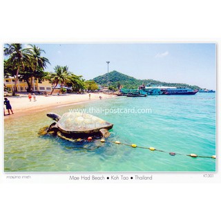ภาพหน้าปกสินค้าโปสการ์ด หาดแม่หาด เกาะเต่า จ.สุราษฏร์ธานี สถานที่ท่องเที่ยว วิว ประเทศไทย ที่เกี่ยวข้อง
