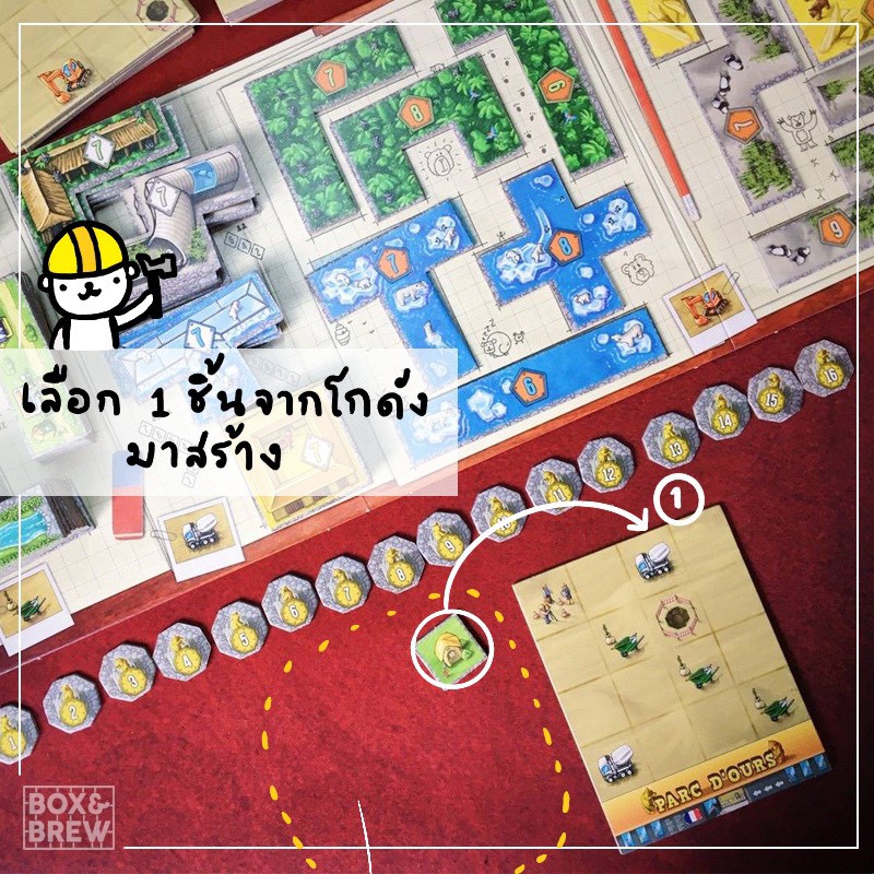 barenpark-อาณาจักรคนรักหมี-ฟรีซอง-th-บอร์ดเกม-board-game
