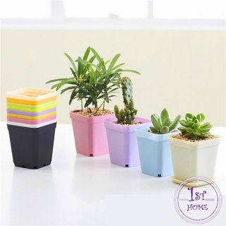 พร้อมถาดรอง กระถางขนาดเล็ก กระถางต้นไม้พลาสติก  Plastic flowerpot