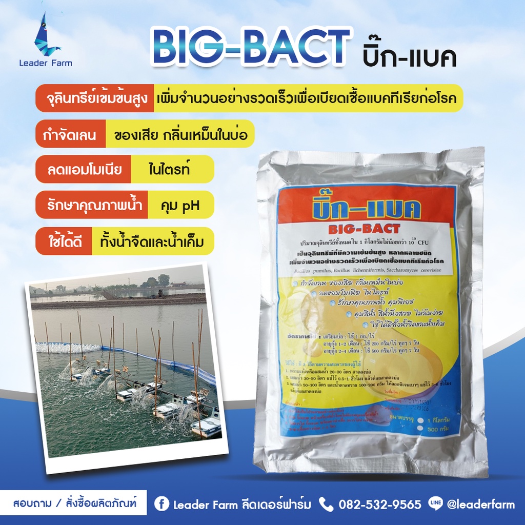 จุลินทรีย์ผง-big-bact-บิ๊ก-แบค-กำจัดเลน-ของเสียในน้ำ-ลดกลิ่นเหม็น-คุมค่าph-ใช้กับสัตว์น้ำทุกชนิด