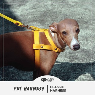 สินค้า สายรัดอกสัตว์เลี้ยง Classic pet harness หนังนิ่มแท้ สายรัดอกสุนัข สายรัดอกแมว | Mr.&Mrs.Sniff
