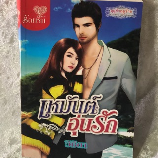 นิยายรักโรแมนติกเล่มใหญ่