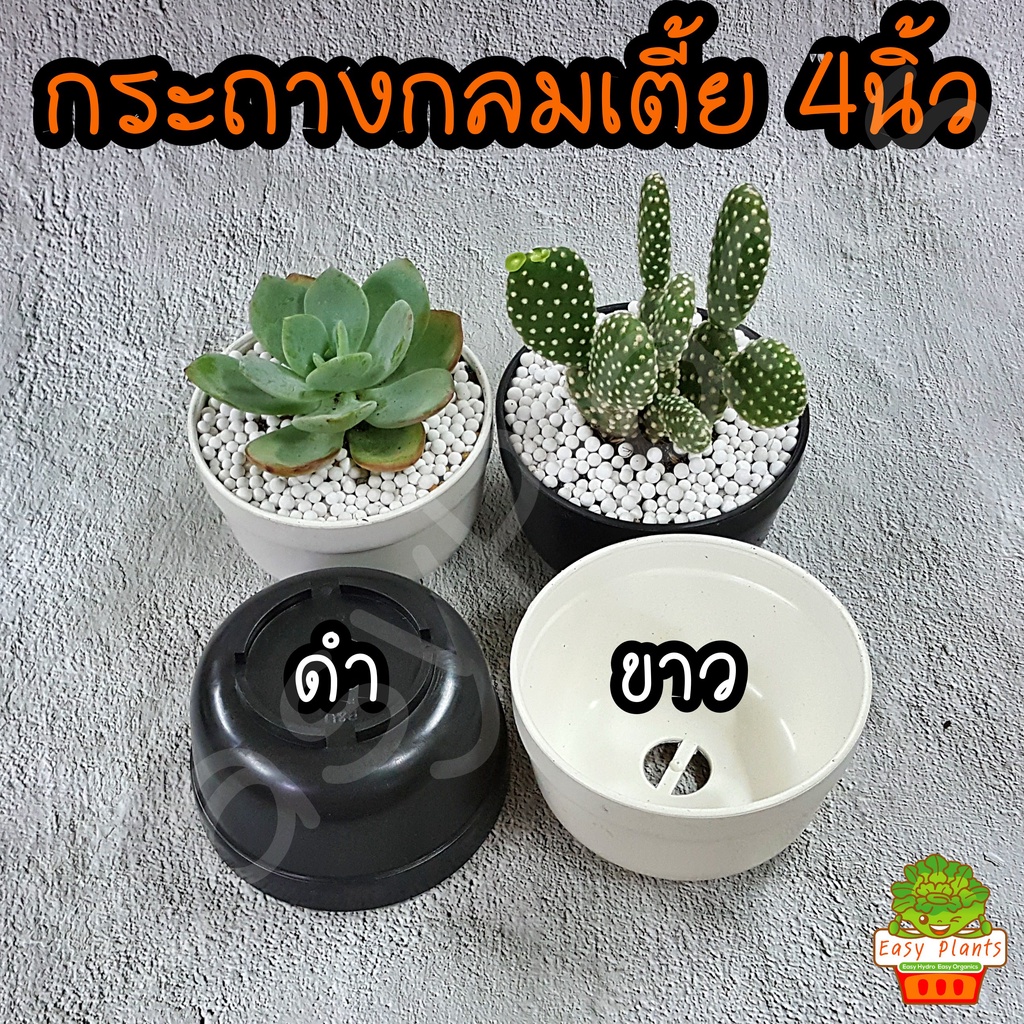 กระถาง-4-นิ้ว-เนื้อหนา-เงา-พลาสติก-สำหรับปลูก-แคคตัส-และกล้าไม้ขนาดเล็ก