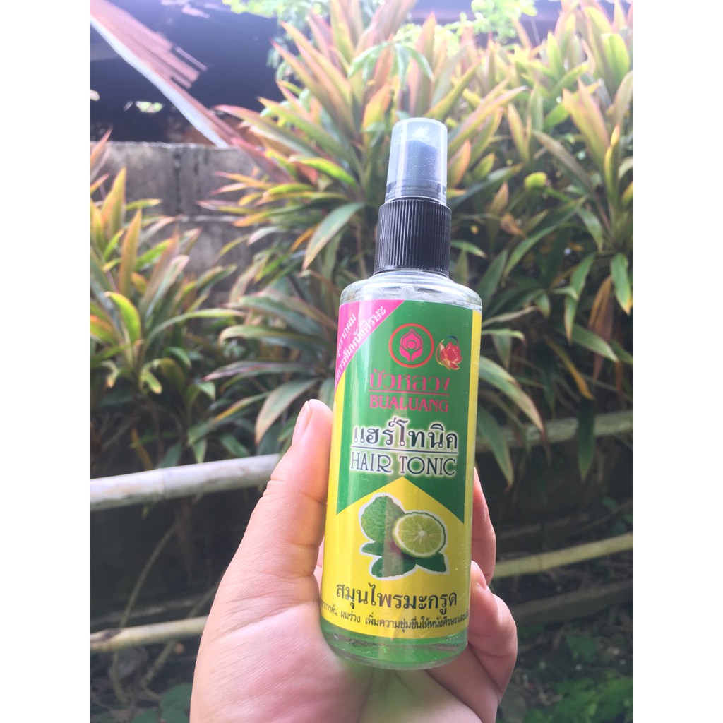 บัวหลวง-แฮร์-โทนิค-คาฟเฟอร์ไลม์-bualuang-hair-tonic-ปริมาณ-90-ml-สมุนไพรมะกรูด-ลดอาการคัน-ผมร่วง