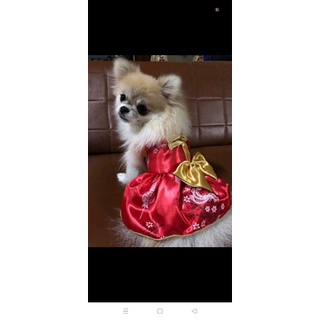 ภาพหน้าปกสินค้าชุดจีนหมาเสื้อตรุษจีนหมาชุดจีนหมาแมวราคาพิเศษ ที่เกี่ยวข้อง