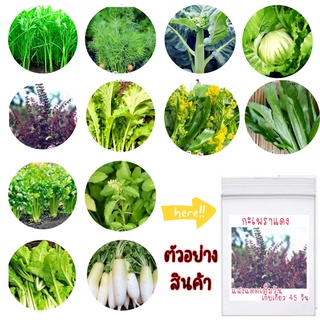 เมล็ดพันธุ์ผักสวนครัว เมล็ดพันธุ์ผัก เมล็ดผัก