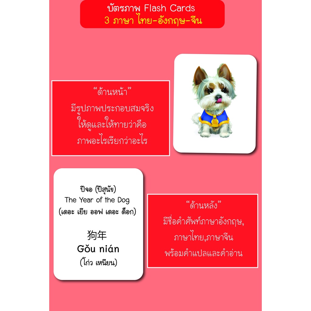 บัตรภาพ-flash-cards-เดือนปี