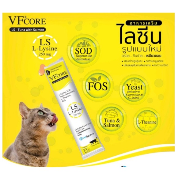 ภาพหน้าปกสินค้าVF Core.lysine (( 1 ซองสีเหลือง)) ชนิดแมวเลีย ช่วยเสริมภูมิคุ้มกัน ช่วยบำรุงร่ายกาย อร่อยในรูปแมวเลีย จากร้าน kankullanat2555 บน Shopee