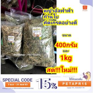 หญ้าอัลฟาฟ่าก้านใบ คัดเกรด สดใหม่!!!สำหรับสัตว์เลี้ยง กระต่าย แกสบี้ ชินชิล่า แพรี่ด็อกและอื่นๆ