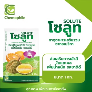 โซลูท (Solute) ธาตุอาหารเสริมชนิดเข้มข้น เพิ่มการเข้าสี เพิ่มคุณภาพ ได้น้ำหนัก รสชาติดี ขนาด 1 กก.