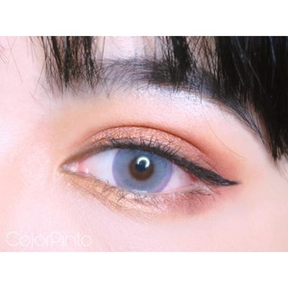 (1pair)(Dec.22)New Series,ColorPinto Brand,14.2mm,(power0.0-7.0),Contact Lens yearly use(grey)