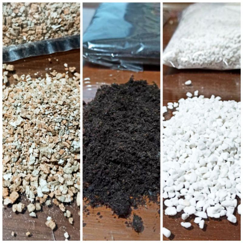 ส่งจากกรุงเทพ-แบ่งขายถุง-1-ลิตร-เพอร์ไลต์-perlite-เวอร์มิคูไลท์-vermiculite-พีทมอส-peat-moss-ปลูกต้นไม้-ดิน