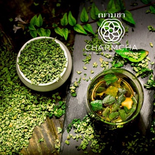 ชาใบบัวเม็ด (Lotus Leaf Tea) ลดน้ำหนัก ลดไขมันในเลือด ขับความร้อนจากร่างกาย ทำให้สดชื่น ชาดอกไม้ ฌามชา Charmcha