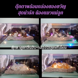 ของขวัญตุ๊กตาพร้อมกล่องใส่สุดพรีเมี่ยม กล่องของขวัญพร้อมตุ๊กตา ตุ๊กตาดูดกลิ่นอับพร้อมกล่องของขวัญ