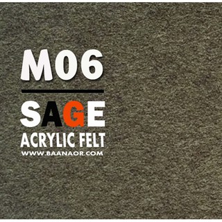 M06 ผ้าสักหลาด สองหน้า เนื้อนิ่ม ตัดแบ่งขนาดชิ้นเล็ก จำนวน 1 ชิ้น Acrylic Felt Craft Sewing Felt Fabric
