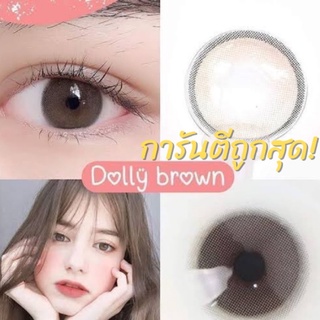 ✨ Dolly brown chestnut (Wink lens) ขนาดมินิ mini  ☀️กรองแสง uv (บิ๊กอาย คอนแทคเลนส์ Bigeye)
