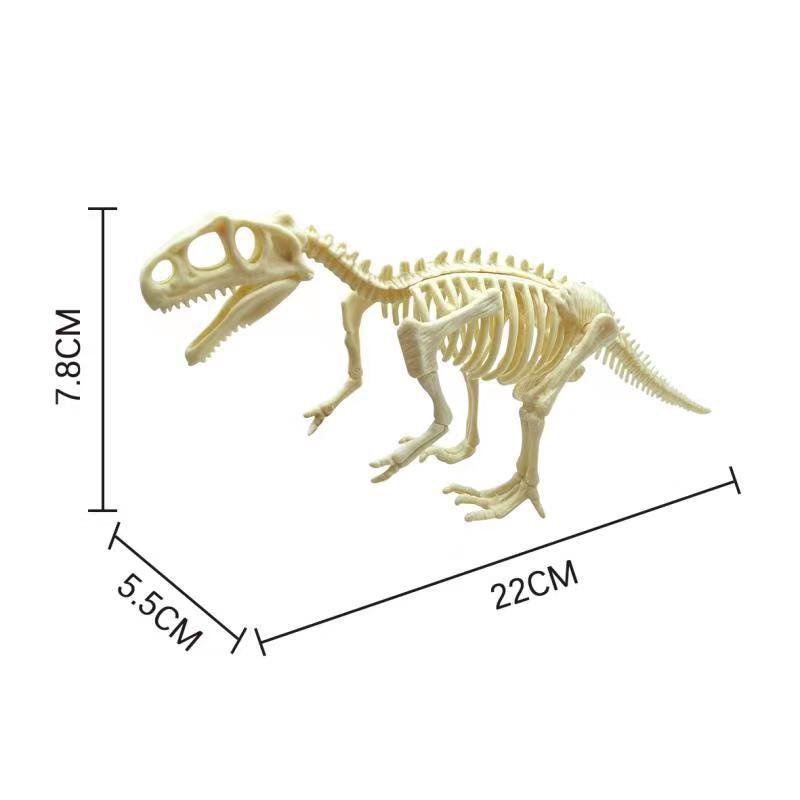 ของเล่นโบราณคดี-โครงกระดูกฟอสซิลไดโนเสาร์ประกอบโบราณคดี