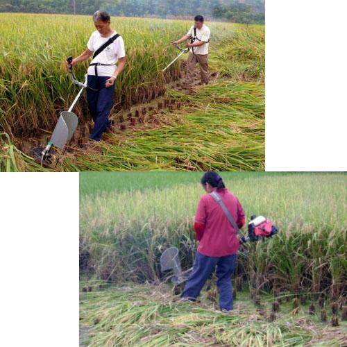 โครงเกี่ยวข้าว-โครงตัดหญ้าติดเครื่องตัดหญ้า-โครงเกี่ยวข้าว-โครงเกี่ยวหญ้า-ตัดข้าว-ใส่เครื่องตัดหญ้า-พร้อ40-ฟัน