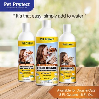 ภาพหน้าปกสินค้าPet Protect น้ำยาบ้วนปากแมว น้ำยาบ้วนปากสุนัข ระงับกลิ่นปาก ยับยั้งการเกิดหินปูน สูตรฟันขาว 237 ml/ขวด ที่เกี่ยวข้อง