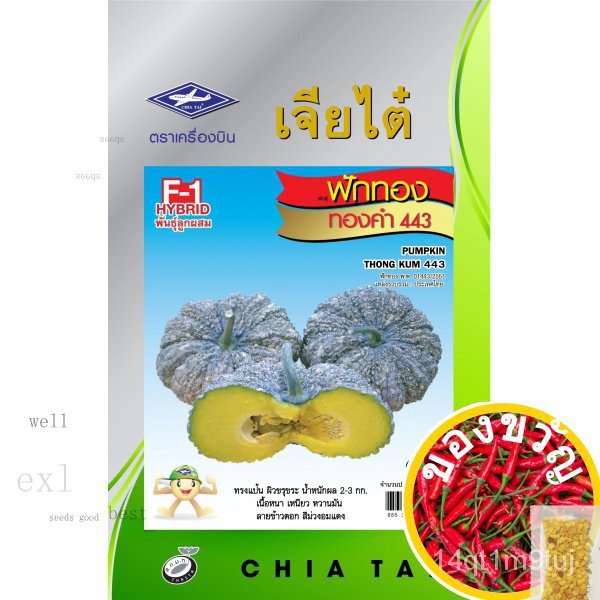 chiatai-ผักซอง-เจียไต๋-f050-ฟักทอง-ทองคำ433-f1-จำนวนประมาณ-10เมล็ด-เมล็ดพันธุ์ผัก-เมล็ดผัก-เมล็ดพืช-ผักสวนครัวed-tuyx
