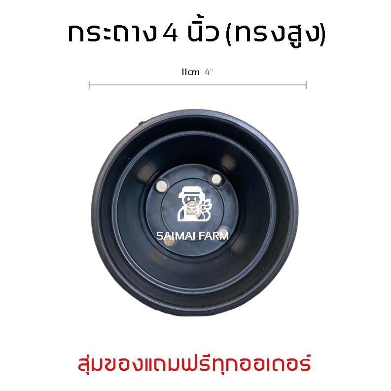 กระถางพลาสติก-4-และ-6-นิ้ว-ทรงสูง-ปากหนา-กระถางกระบองเพชร-plastic-pots-4-and-6-inches-tall-thick-mouth-cactus-pots