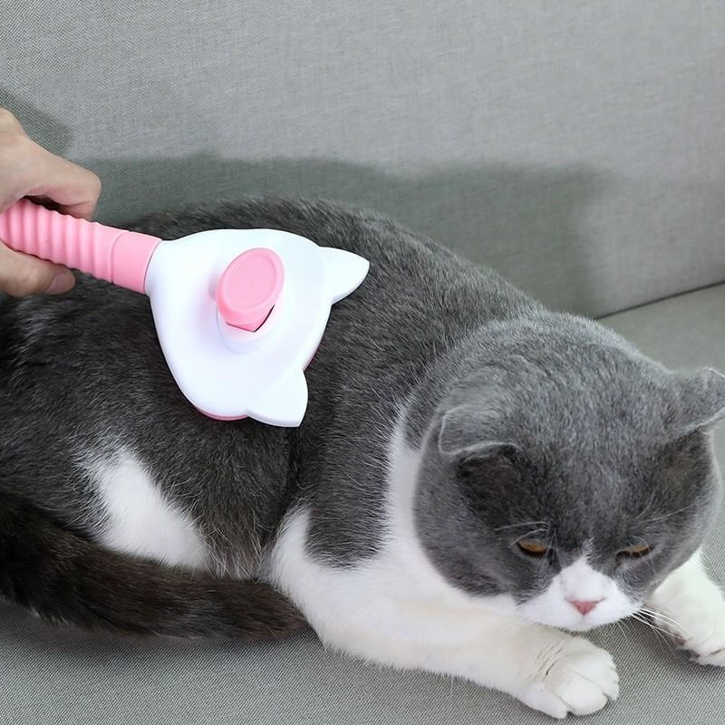 สินค้ามาใหม่วันนี้-comb-brush-cat-fur-keypad-หวีแปรงนวดเก็บขนแมว