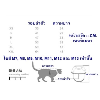 ภาพขนาดย่อของภาพหน้าปกสินค้าเสื้อสุนัข เสื้อแมว ชุดสัตว์เลี้ยงน่ารัก จากร้าน bigbossaum บน Shopee