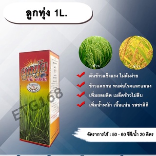 ลูกทุ่ง 1L. ธาตุอาหารรอง ธาตุอาหารเสริม ฮอร์โมนพืช ไม่ล้มง่าย ข้าวแตกกอ ทนต่อโรคและแมลง