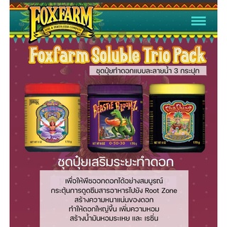 Foxfarm​ Soluble Trio Packs ปุ๋ยทำดอก