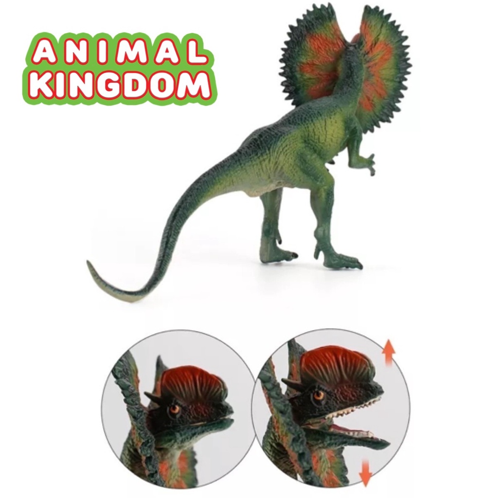 animal-kingdom-โมเดลไดโนเสาร์-dilophosaurus-เขียว-ขนาด-19-00-cm-จากหาดใหญ่