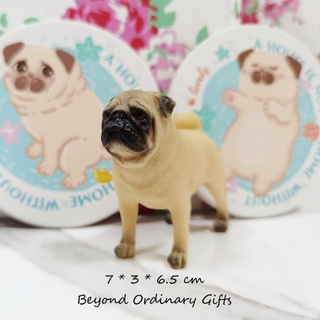 โมเดลปั๊ก พร้อมส่ง (Pug Model)​