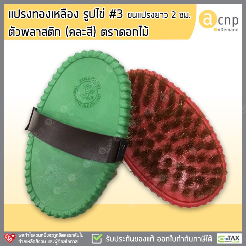 แปรงทองเหลือง-รูปไข่-3-ตัวพลาสติก-คละสี-ลวดทองเหลือง