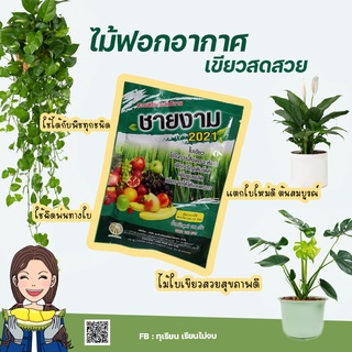 ชายงาม สารเสริมทางในสำหรับพืชทุกชนิด ดอกไม้ บอนสี ไม้ฟอกอากาศ ขนาด 100 กรัม