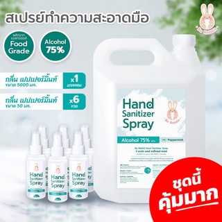 ชุดนี้คุ้มมาก!! แอลกอฮอล์ สเปรย์ 75% ขนาด 5 ลิตร 1 แกลลอน + 50ml. 6 ชวด  / กลิ่น เปปเปอร์ มินต์ / Food Grade