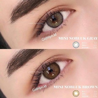 คอนแทคเลนส์ Dream Color1 Mini Nobluk ค่าสายตา 0.00 ถึง -5.00(Gray,Brown)