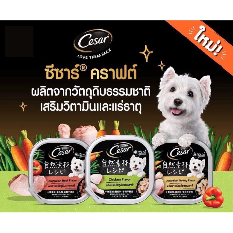 ซีซาร์คราฟต์ Cesar อาหารแบบเปียกสำหรับสุนัข | Shopee Thailand