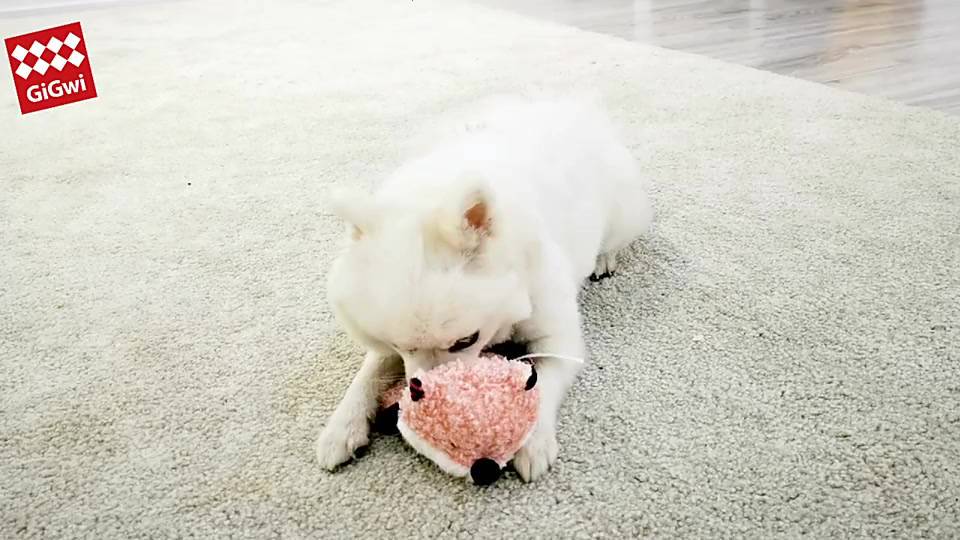 ของเล่นสุนัข-gigwi-รุ่น-crinkle-suppa-puppa-xs-สิงโต