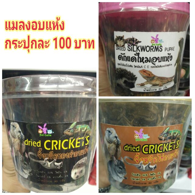 แมลงอบแห้ง-จิ้งหรีดไข่-จิ้งหรีดทองดำ-หนอนไหม