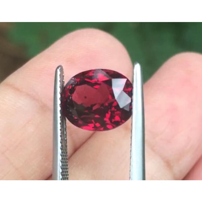 พลอยโรโดไรด์การ์เนต-rhodolite-garnet-นน4-31กะรัต