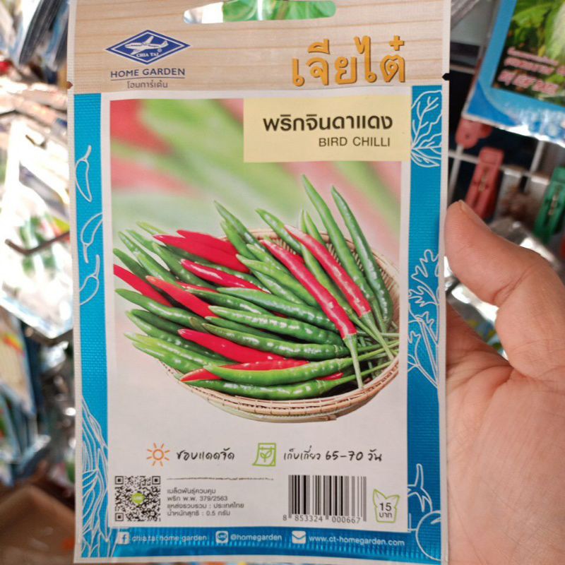 ภาพหน้าปกสินค้าเมล็ดพริกจินดาแดง เมล็ดพันธุ์ผักเจียไต๋ 1 ซอง จากร้าน acjoecon24 บน Shopee