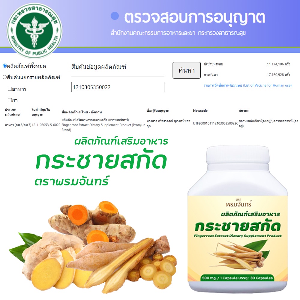 ส่งฟรี-ของแท้-100-กระชายสกัด-กระชายแคปซูล-500-mg-กระชายขาวสกัด-สารสกัดกระชายขาว-มี-อ-ย-ถูกต้อง-ปลอดภัย