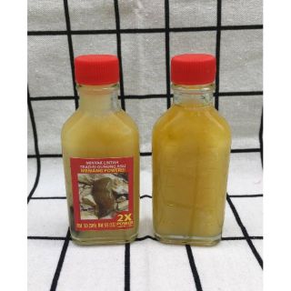 MINYAK LINTAH TRADISI GUNUNG ASLI (MLTGA) (30 ML) **100% ORIGINAL!