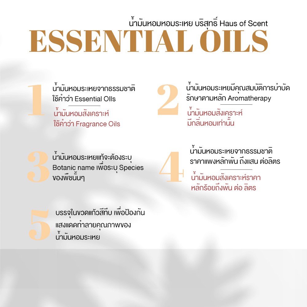 โปร-แพคคู่-น้ำมันหอมระเหย-น้ำมันอโรม่า-เปปเปอร์มินต์-แท้-10-ml-30-ml-pure-essential-oil-by-haus-of-scent
