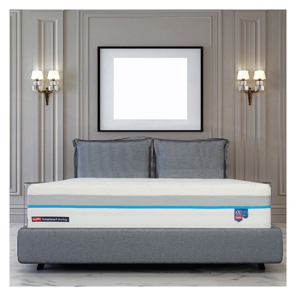 ที่นอน-3-5-ฟุต-slumberland-tempsmart-x-soft-ที่นอน-รุ่น-tempsmart-x-soft-เอกลักษณ์เฉพาะของ-slumberland-มีประสิทธิภาพในกา