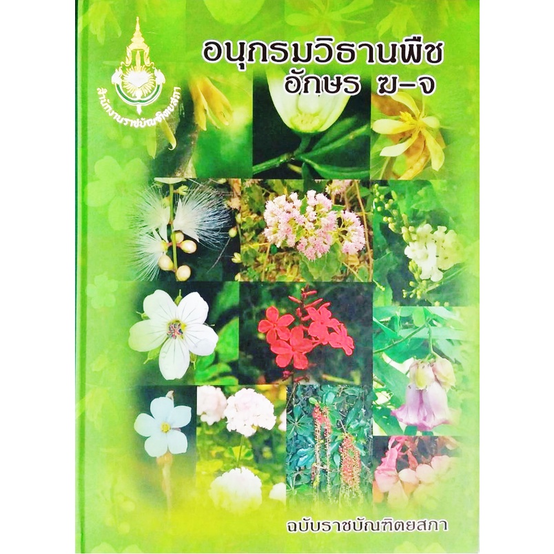 อนุกรมวิธานพืช-ฉบับราชบัณฑิต-รวบรวมชื่อพรรณพืชที่มี-อยู่ในประเทศไทย