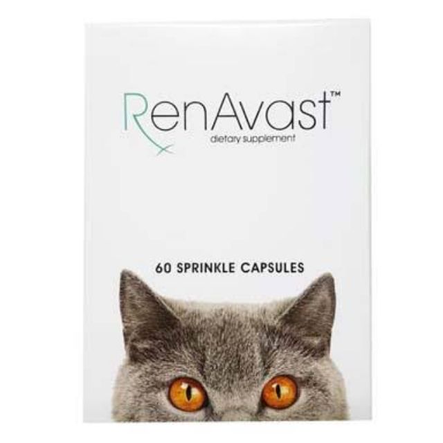 renavast-cat-บำรุงไต-สำหรับแมว-60-cap