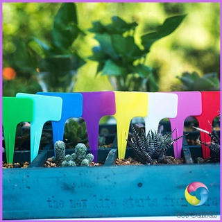 ป้ายพลาสติก mini ป้ายชื่อแคคตัส ป้ายชื่อสวน ป้ายไม้ดอกไม้ garden label